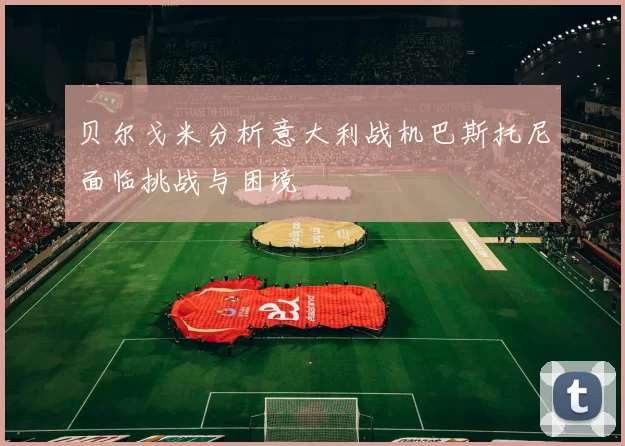 贝尔戈米分析意大利战机巴斯托尼面临挑战与困境